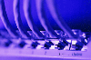 Local Area Networking